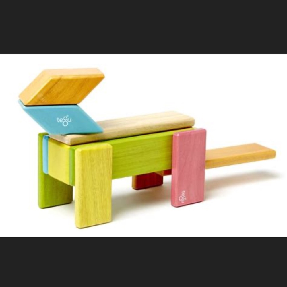 35 piece Tegu Magnetic Wood Blocks